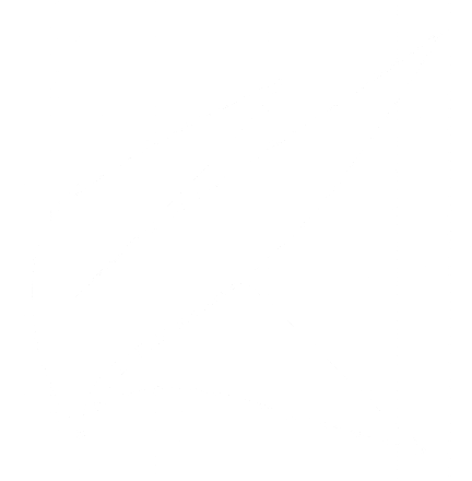 Kadavi Innovations